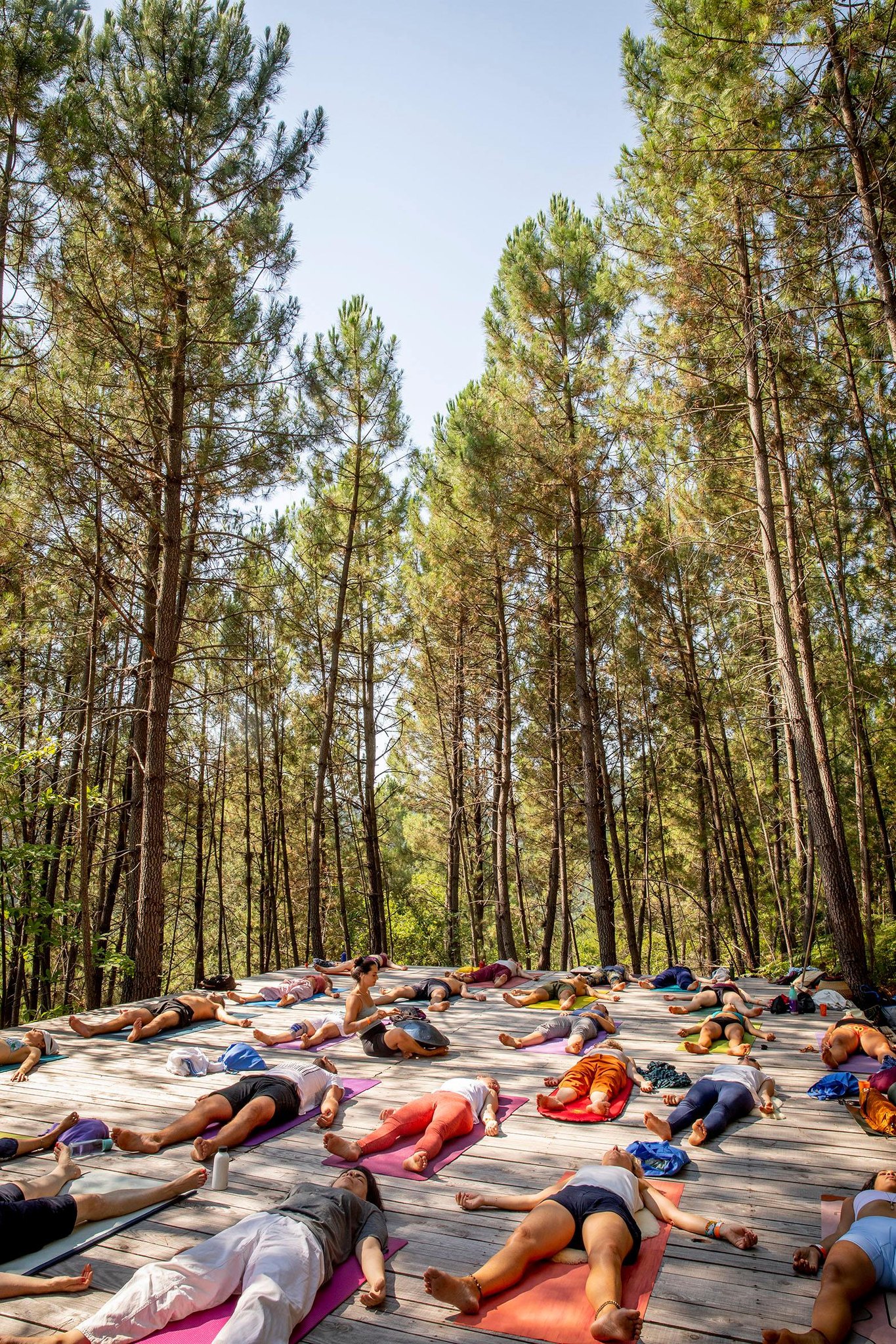 Yoga au milieu des arbres 